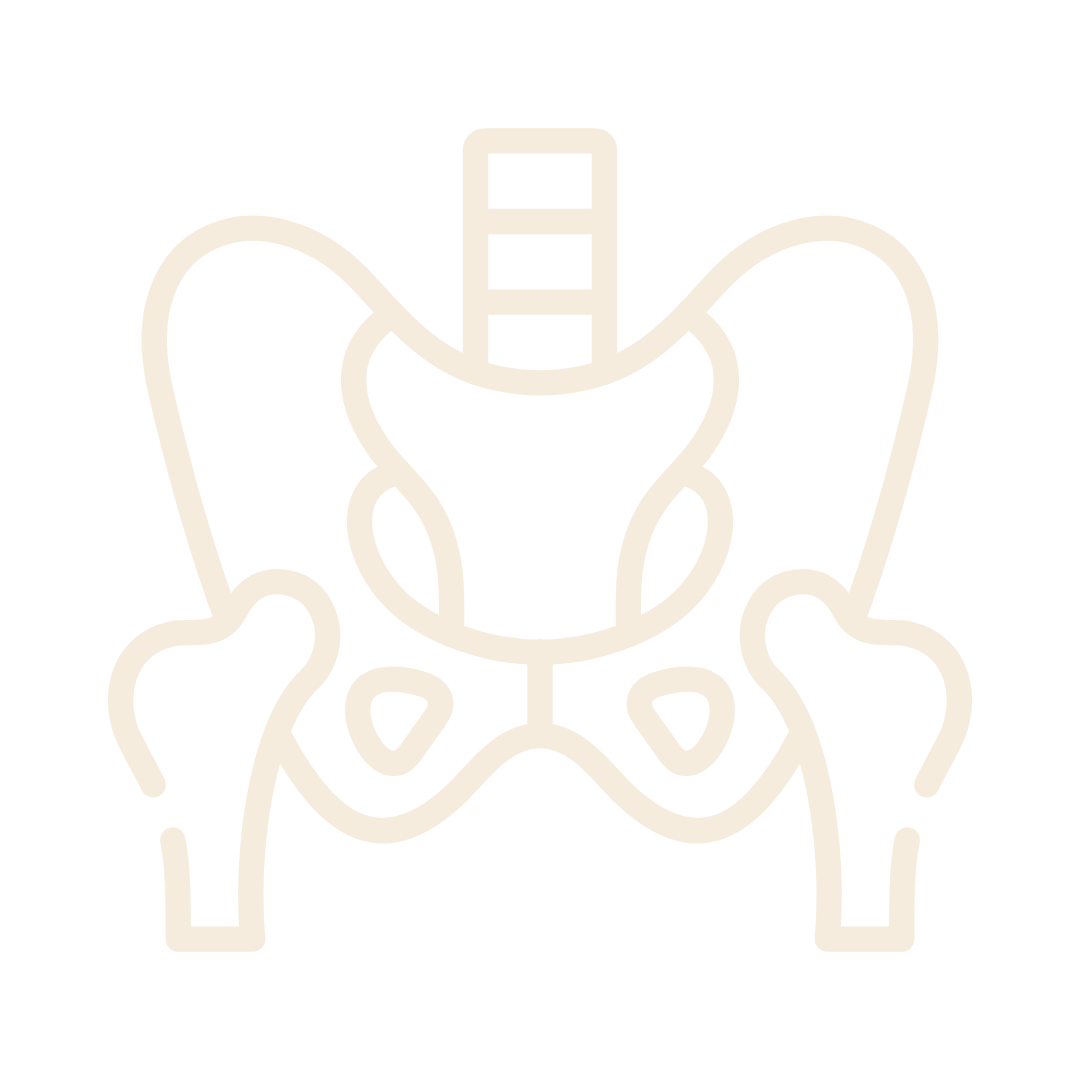 Icono de pelvis